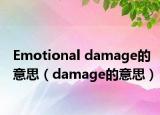 Emotional damage的意思（damage的意思）