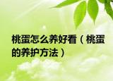 桃蛋怎么养好看（桃蛋的养护方法）