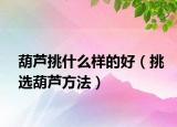 葫芦挑什么样的好（挑选葫芦方法）
