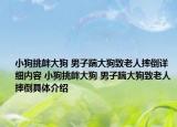小狗挑衅大狗 男子踹大狗致老人摔倒详细内容 小狗挑衅大狗 男子踹大狗致老人摔倒具体介绍