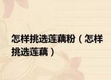 怎样挑选莲藕粉（怎样挑选莲藕）