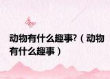 动物有什么趣事?（动物有什么趣事）