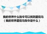 我的世界什么指令可以找到蘑菇岛（我的世界蘑菇岛指令是什么）