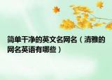 简单干净的英文名网名（清雅的网名英语有哪些）
