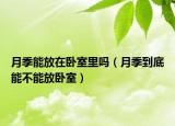 月季能放在卧室里吗（月季到底能不能放卧室）