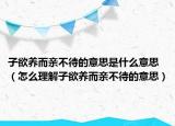 子欲养而亲不待的意思是什么意思（怎么理解子欲养而亲不待的意思）