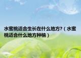 水蜜桃适合生长在什么地方?（水蜜桃适合什么地方种植）