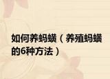 如何养蚂蟥（养殖蚂蟥的6种方法）