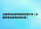水貂毛毛衣掉毛如何处理干净（水貂毛毛衣掉毛如何处理）
