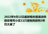 2022年9月12日最新相关报道消息 保安毒死小区11只宠物狗获刑3年 罚太重了