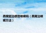 燕窝能治感冒咳嗽吗（燕窝治咳嗽方法）