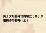 关于夕阳的诗句有哪些（关于夕阳的诗句都有什么）