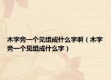 木字旁一个见组成什么字啊（木字旁一个见组成什么字）