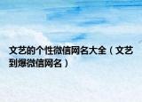 文艺的个性微信网名大全（文艺到爆微信网名）