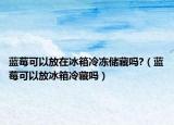 蓝莓可以放在冰箱冷冻储藏吗?（蓝莓可以放冰箱冷藏吗）