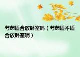 芍药适合放卧室吗（芍药适不适合放卧室呢）