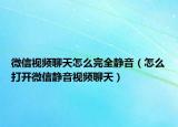 微信视频聊天怎么完全静音（怎么打开微信静音视频聊天）