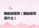 飘阳绿翡翠（飘阳翡翠是什么）