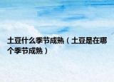 土豆什么季节成熟（土豆是在哪个季节成熟）