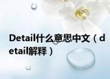 Detail什么意思中文（detail解释）