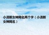 小清新女神网名两个字（小清新女神网名）