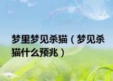 梦里梦见杀猫（梦见杀猫什么预兆）