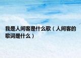 我是人间客是什么歌（人间客的歌词是什么）