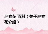 迎春花 百科（关于迎春花介绍）