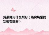 炖燕窝用什么梨好（燕窝炖梨的功效有哪些）
