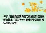9月12日最新更新内容电视剧罚罪在央视哪台播出 罚罪大boss是谁来看更新时间 详细情况介绍