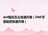 dnf现在怎么快速升级（DNF手游如何快速升级）