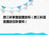 唐三彩家里能摆放吗（唐三彩适宜摆放在卧室吗）