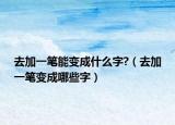 去加一笔能变成什么字?（去加一笔变成哪些字）