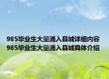 985毕业生大量涌入县城详细内容 985毕业生大量涌入县城具体介绍