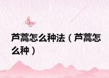芦蒿怎么种法（芦蒿怎么种）