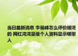 当日最新消息 李易峰怎么评价胡湾的 网红湾湾是谁个人资料显示哪里人