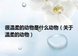 很温柔的动物是什么动物（关于温柔的动物）