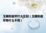 玉髓和翡翠什么区别（玉髓和翡翠有什么不同）