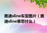 奥迪sline车型图片（奥迪sline意思什么）