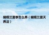蝴蝶兰夏季怎么养（蝴蝶兰夏天养法）