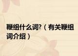 鞭组什么词?（有关鞭组词介绍）