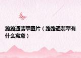 路路通翡翠图片（路路通翡翠有什么寓意）