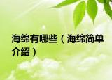 海绵有哪些（海绵简单介绍）