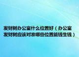 发财树办公室什么位置好（办公室发财树应该对准哪些位置能钱生钱）