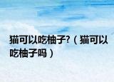 猫可以吃柚子?（猫可以吃柚子吗）