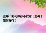 蓝莓干如何保存不发霉（蓝莓干如何保存）