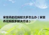 家里养的花蚂蚁太多怎么办（家里养花蚂蚁多解决方法）