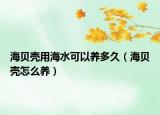 海贝壳用海水可以养多久（海贝壳怎么养）