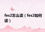 fes2怎么读（fes2如何读）