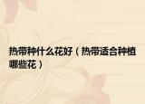 热带种什么花好（热带适合种植哪些花）